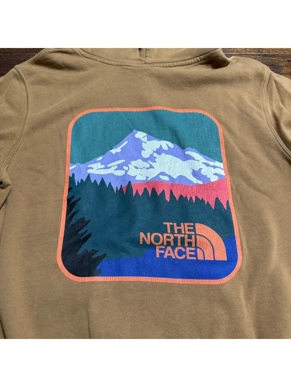 The North Face Men's Rust Brown Pullover Hoodie Large Logo Graphic Fleece Sz M